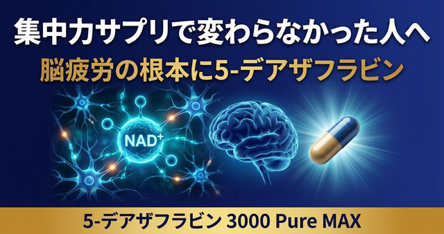 集中力サプリで変わらなかった人へ 脳疲労に5-デアザフラビンが注目される理由