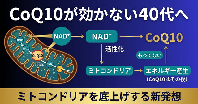 CoQ10が効かない40代 NAD+からミトコンドリアを底上げする発想