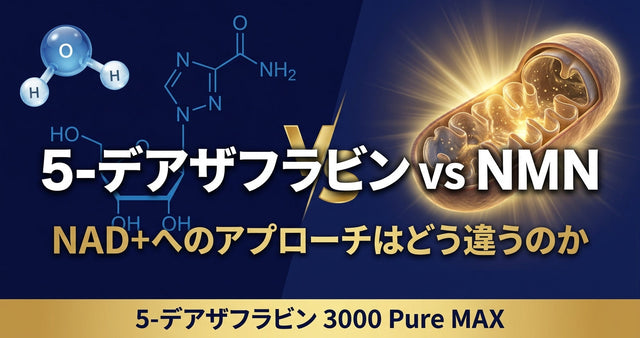 5-デアザフラビンとNMNの違いを徹底比較 NAD+へのアプローチはどう違うのか