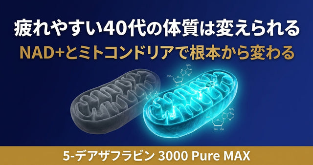 疲れやすい40代の原因とNAD+・ミトコンドリアの関係を示す図