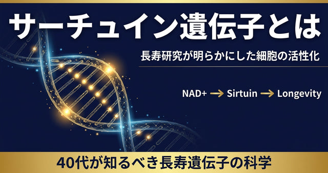 サーチュイン遺伝子とは 長寿研究が明らかにした"細胞の活性化"と40代が知るべきこと
