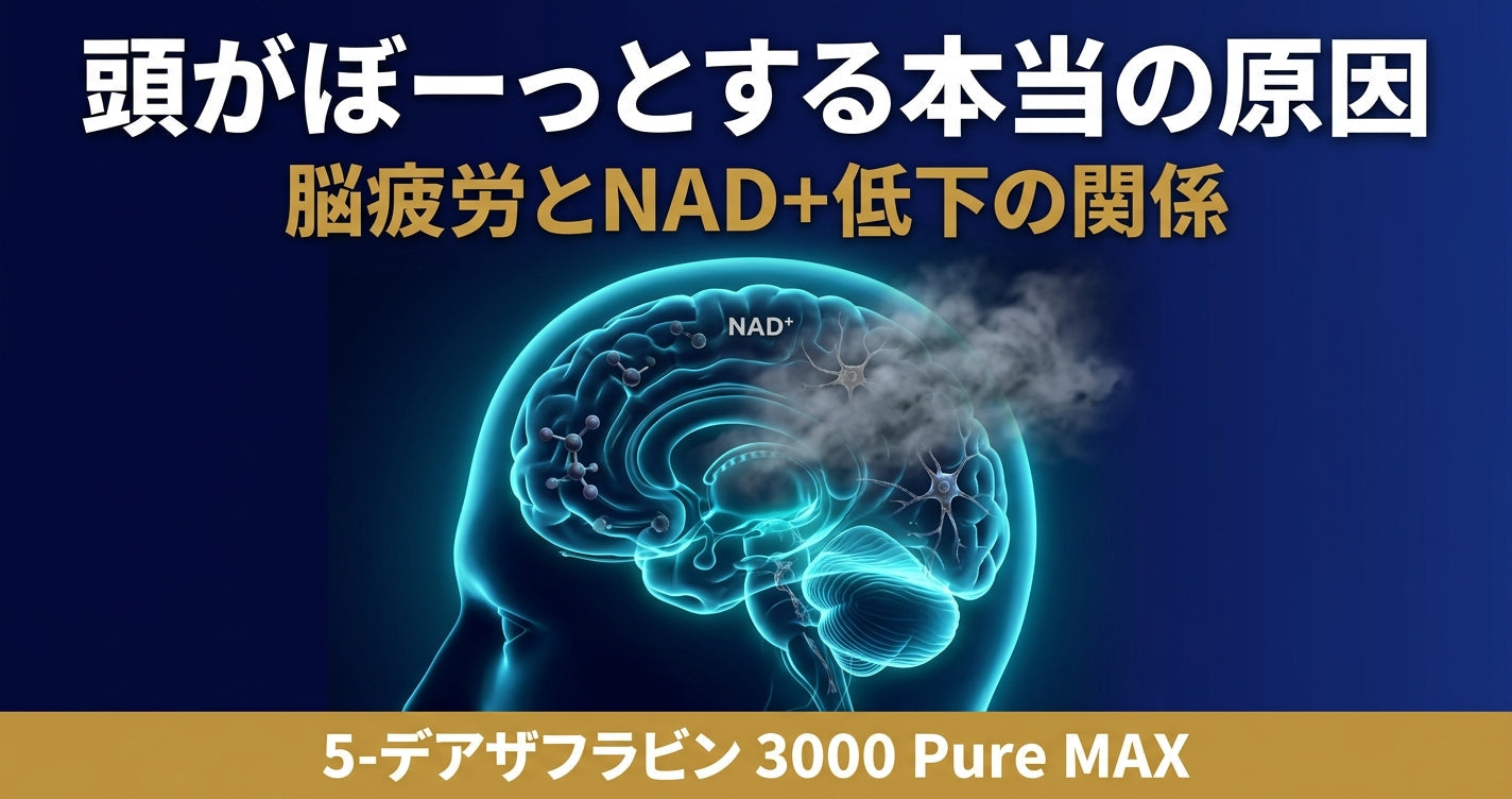 頭がぼーっとする・頭が働かない原因 それは脳疲労かもしれません