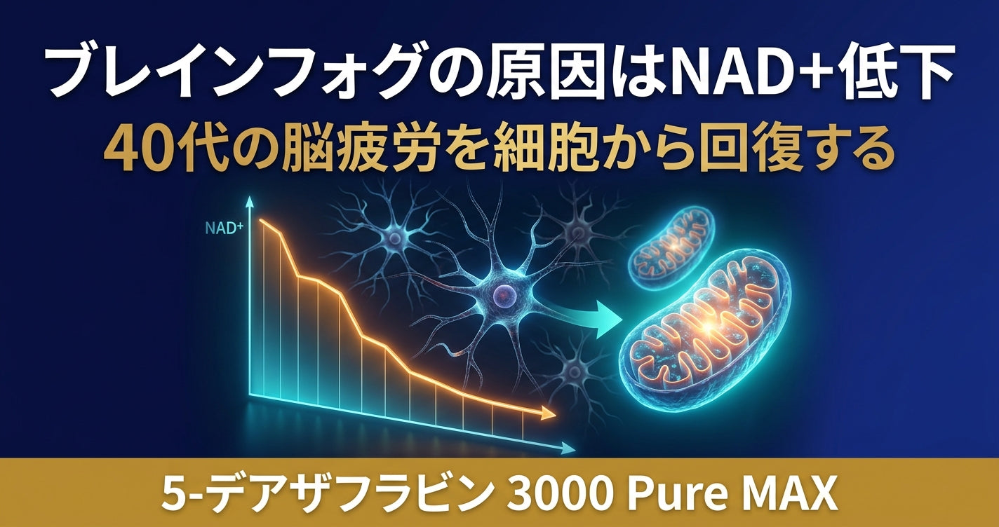 ブレインフォグの原因はNAD+低下？40代の脳疲労を回復する方法