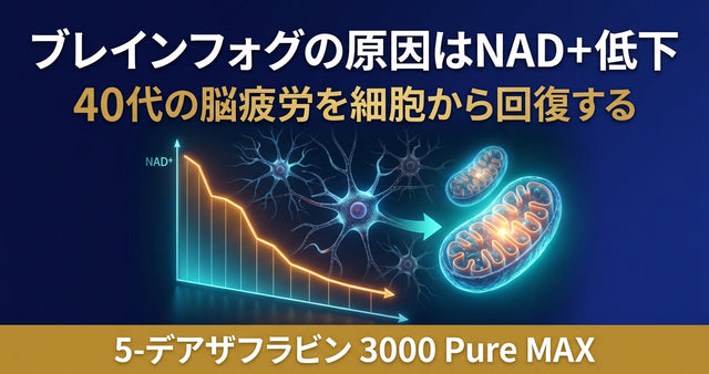 ブレインフォグの原因はNAD+低下？40代の脳疲労を回復する方法