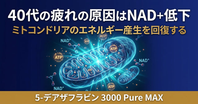 40代の疲れは老化ではない。原因はNAD+とミトコンドリアにある
