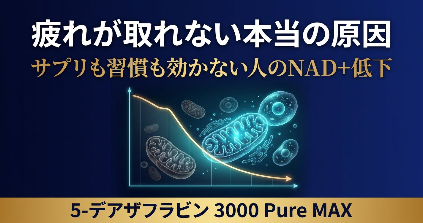 サプリも生活習慣も全部試したのに疲れが取れない原因 それでも変わらない疲れの正体