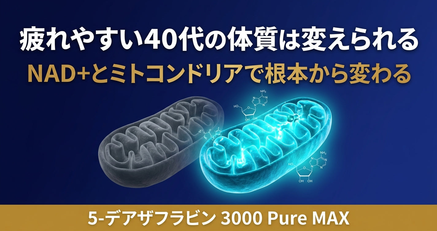 疲れやすい40代の体質は変えられる NAD+とミトコンドリアで根本から変わる理由