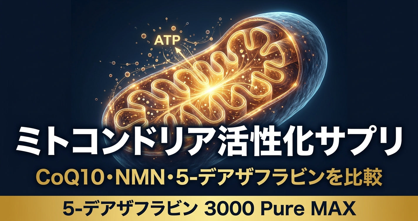 CoQ10もカルニチンも効かなかった。ミトコンドリアが「動かない」本当の理由