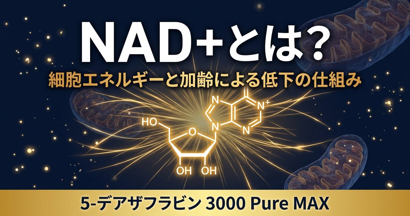 NAD+とは？細胞のエネルギーを支える補酵素と、加齢による低下の仕組みをわかりやすく解説