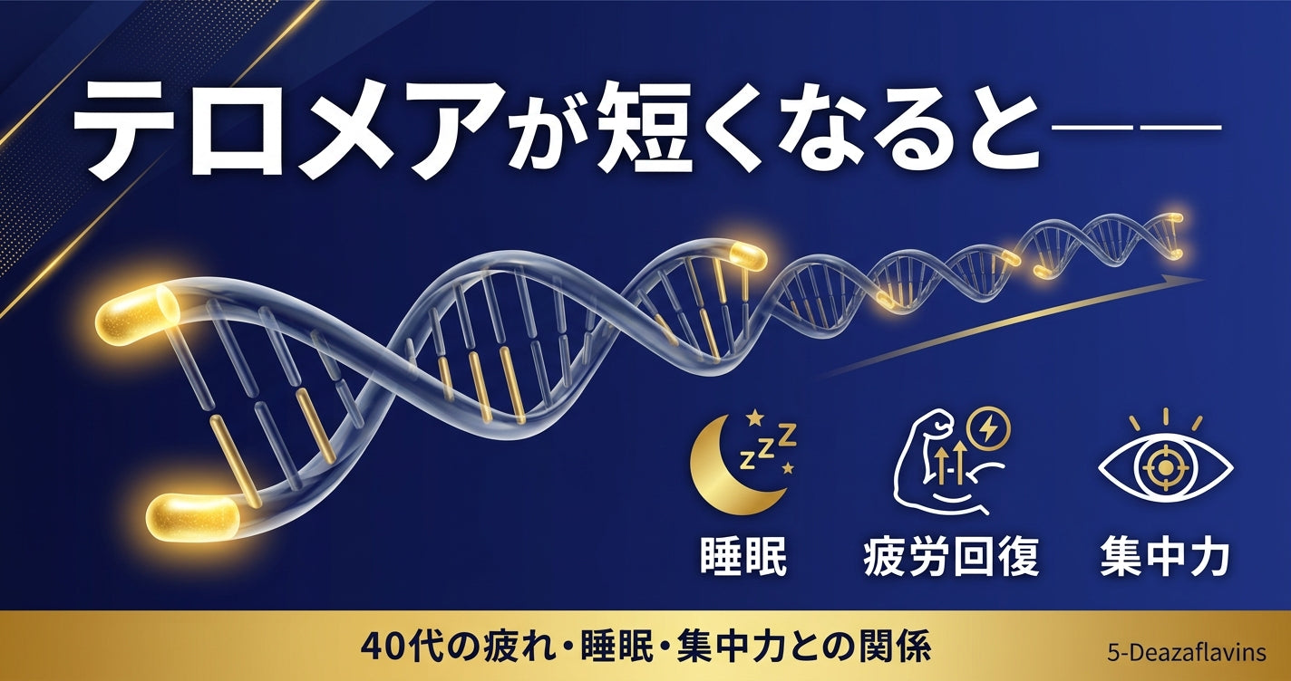 テロメアが短くなると何が起きる？ 40代の睡眠の質・疲労回復・集中力低下との知られざる関係