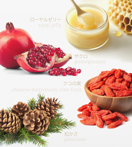 【30カプセル×10個】5-Deazaflavins 3000 Pure MAX